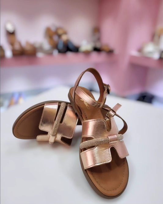 H GOLD/ROSE